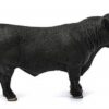 Black Angus Bull - Image 5