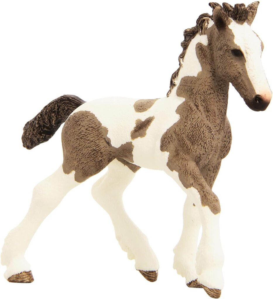 Image of Tinker Foal