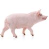 Pig - Image 2