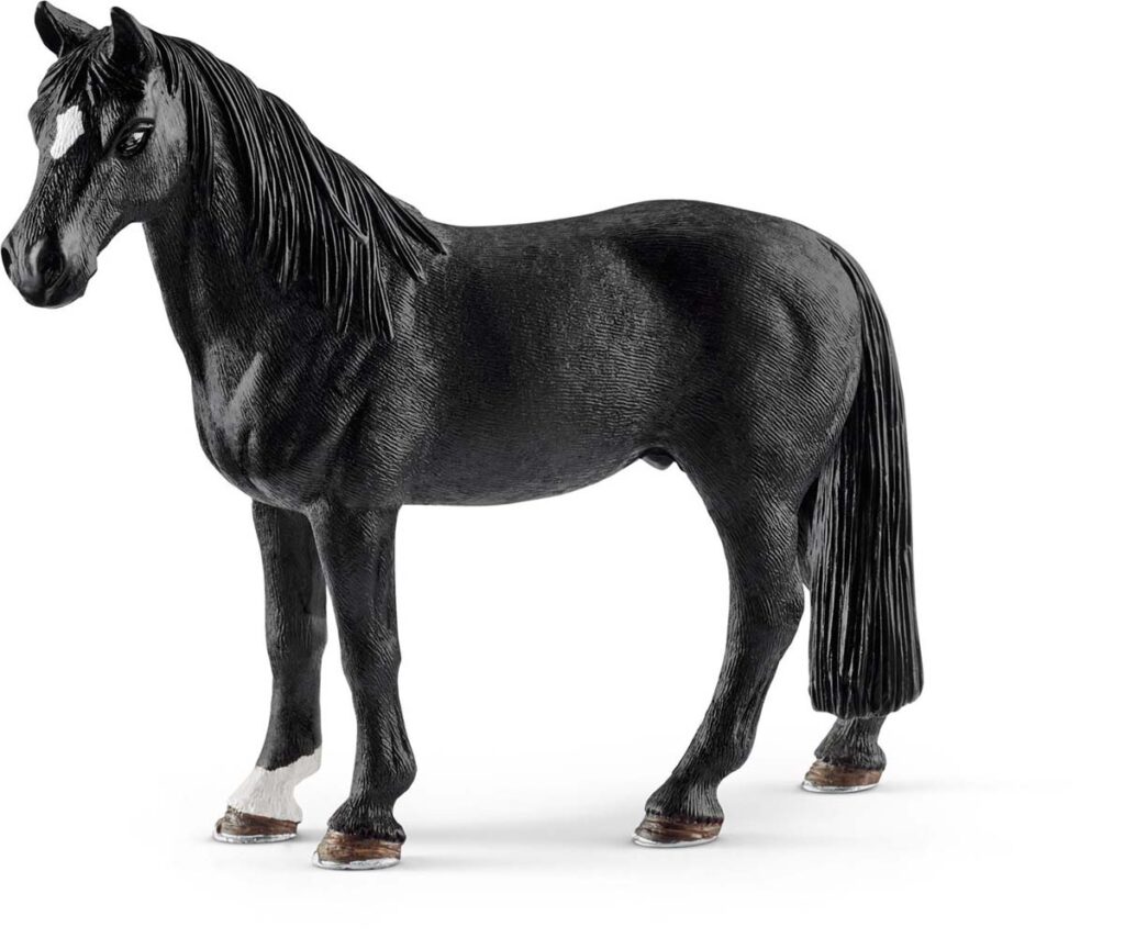 Image of Tennessee Walker Gelding