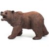 Grizzly Bear