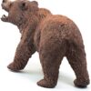Grizzly Bear - Image 4