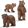 Grizzly Bear - Image 6