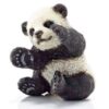 Panda Cub, Playing - Image 2