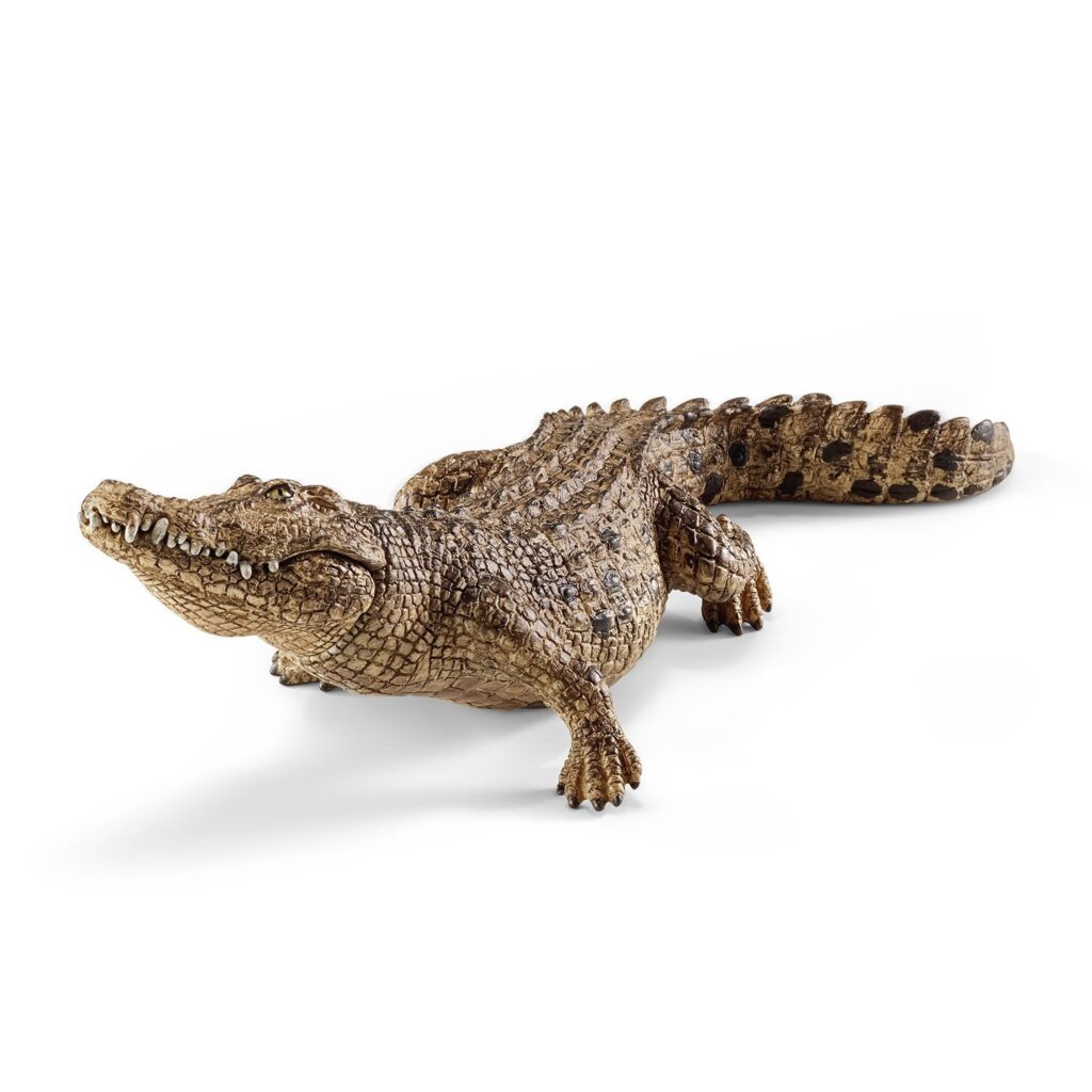 Image of Crocodile