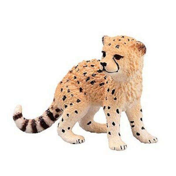 Cheetah Cub - Image 2