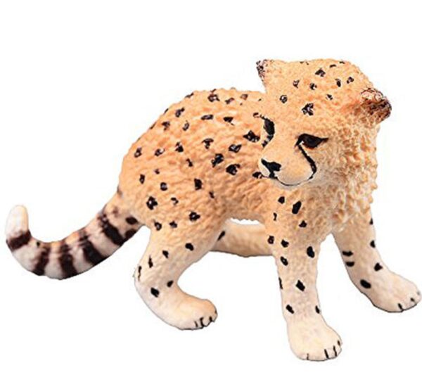 Cheetah Cub - Image 5