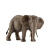 African Elephant, Female