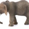 African Elephant, Female - Image 2