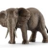African Elephant, Female - Image 4