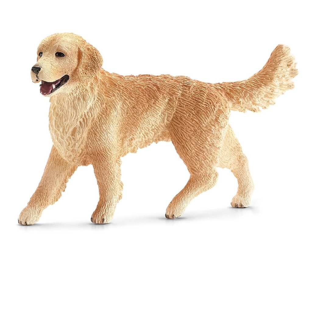 Image of Golden Retriever, Female
