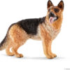 German Shepherd Dog