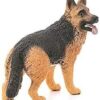 German Shepherd Dog - Image 2