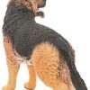 German Shepherd Dog - Image 3