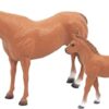 Quarter Horse Mare & Colt