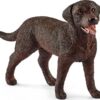 Labrador Retriever Female- Discontinued
