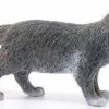 Maine Coon Cat- Discontinued - Image 2