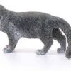 Maine Coon Cat- Discontinued - Image 3