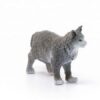Maine Coon Cat- Discontinued - Image 4