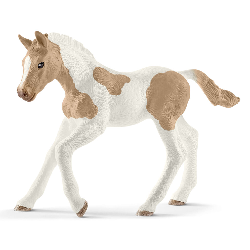 Image of Paint Horse Foal
