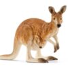 Kangaroo