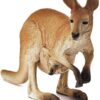 Kangaroo - Image 3