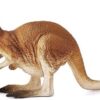 Kangaroo - Image 4