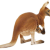 Kangaroo - Image 5
