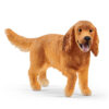 English Cocker Spaniel- Discontinued