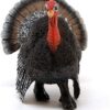 Turkey Tom - Image 2