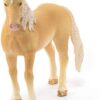 Akhal-Tekkiner Stallion  - Discontinued When Sold out - Image 2