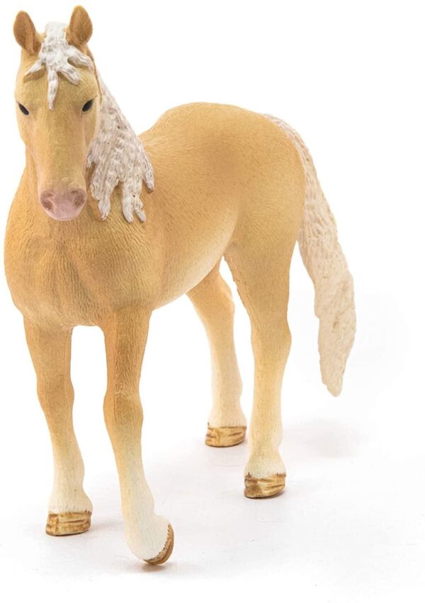 Akhal-Tekkiner Stallion  - Discontinued When Sold out - Image 2
