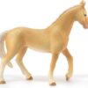 Akhal-Tekkiner Stallion  - Discontinued When Sold out - Image 3