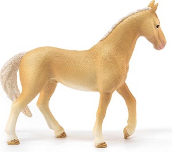 Akhal-Tekkiner Stallion  - Discontinued When Sold out - Image 3