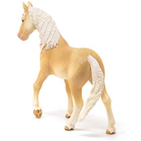 Akhal-Tekkiner Stallion  - Discontinued When Sold out - Image 4