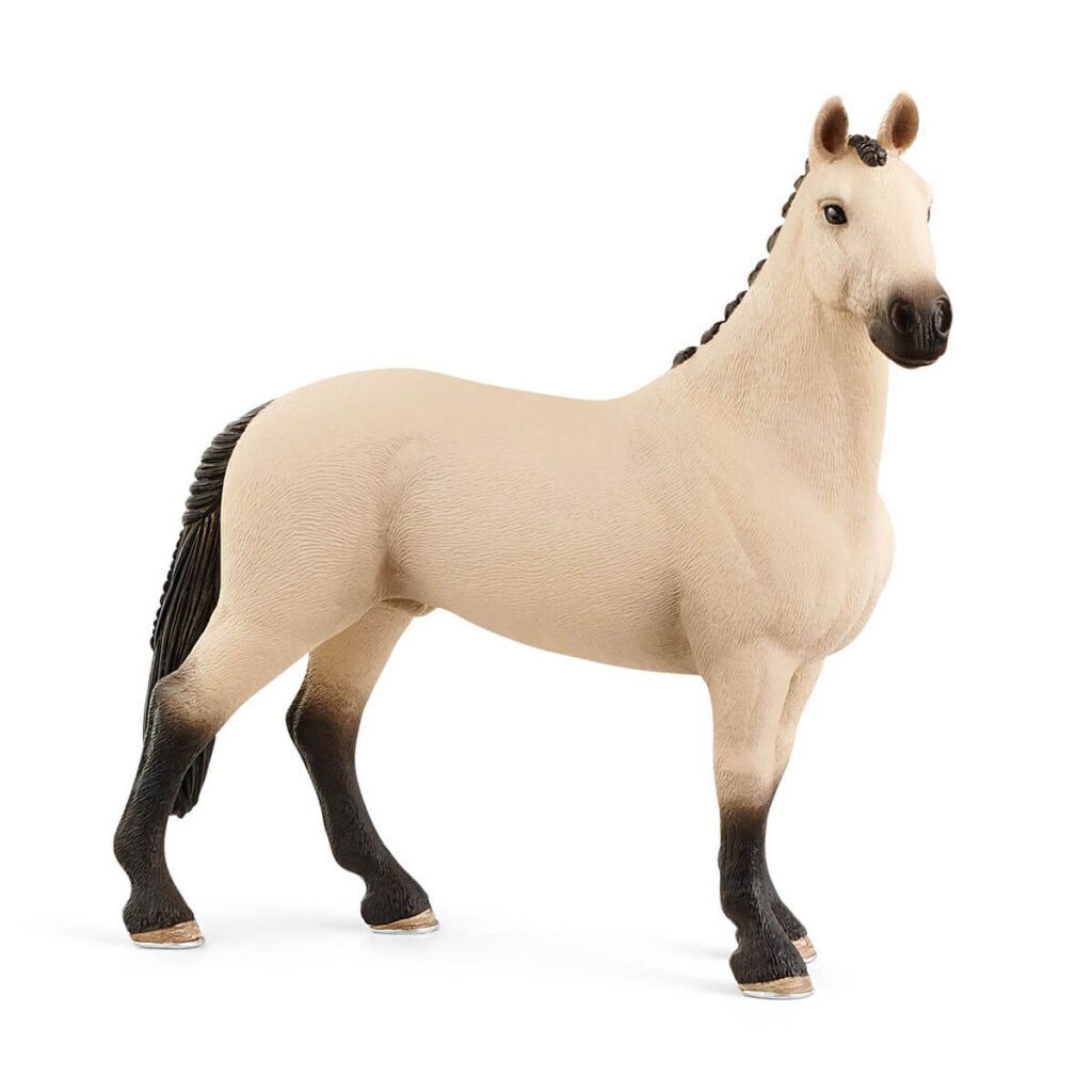 Image of Hannoverian Gelding, Red Dun