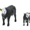 Black Baldy Cow & Calf - Image 2