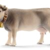 Braunvieh Cow