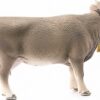 Braunvieh Cow - Image 4