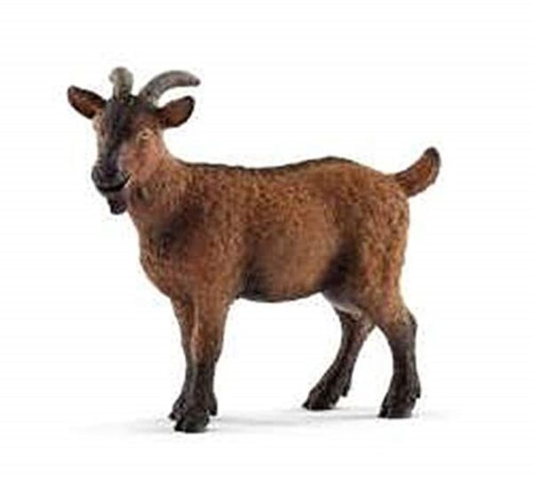 Goat Billy -Backordered not eta