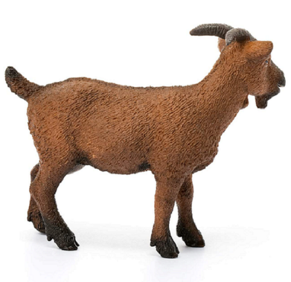 Goat Billy -Backordered not eta - Image 2