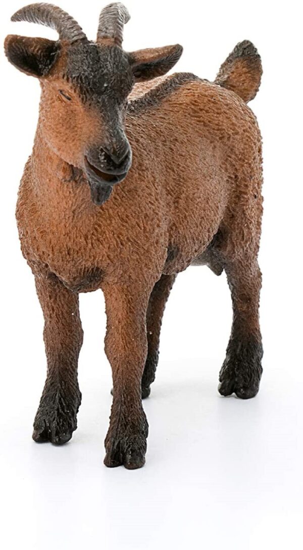 Goat Billy -Backordered not eta - Image 3
