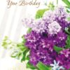 Cards Birthday Lustrous Bxd- Discontinued - Image 3