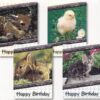 Cards Birthday Baby Animals
