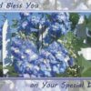 Cards Birthday Boxed Country Blossoms - Image 3