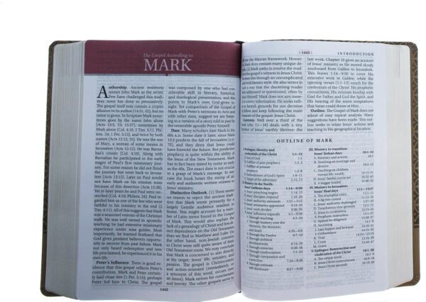 KJV Study Bible, Large Print, Imitation Leather, Tan - Image 3