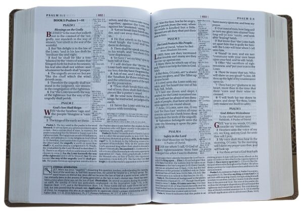 KJV Study Bible, Large Print, Imitation Leather, Tan - Image 4