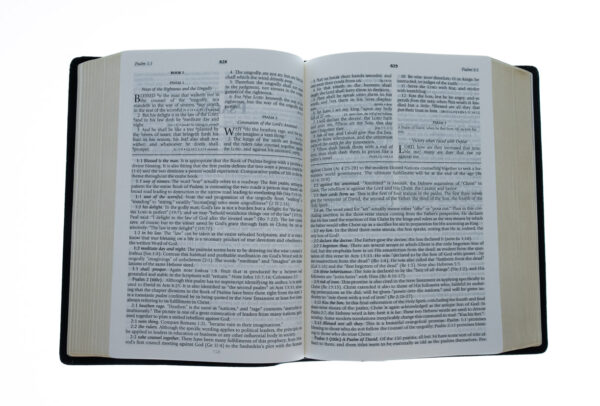 KJV Henry MorrisStudy Bible, Apologetic Study Bible 206 0354 4