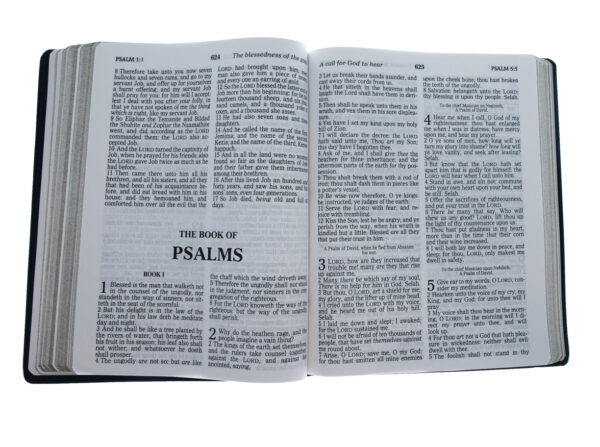 KJV Large Print Bible-Blue Imitation Leather 206 0659 3