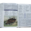KJV Study Bible, Imitation Leather, Burgundy, Indexed - Image 6